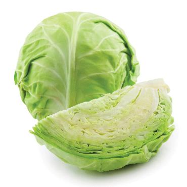 Kapusta biela