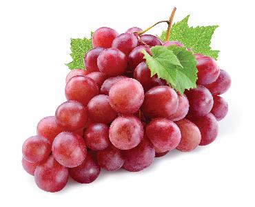 Hrozno balené 500g